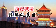 男生的鸡巴插入女生的逼黄操免费视频中国陕西-西安城墙旅游风景区